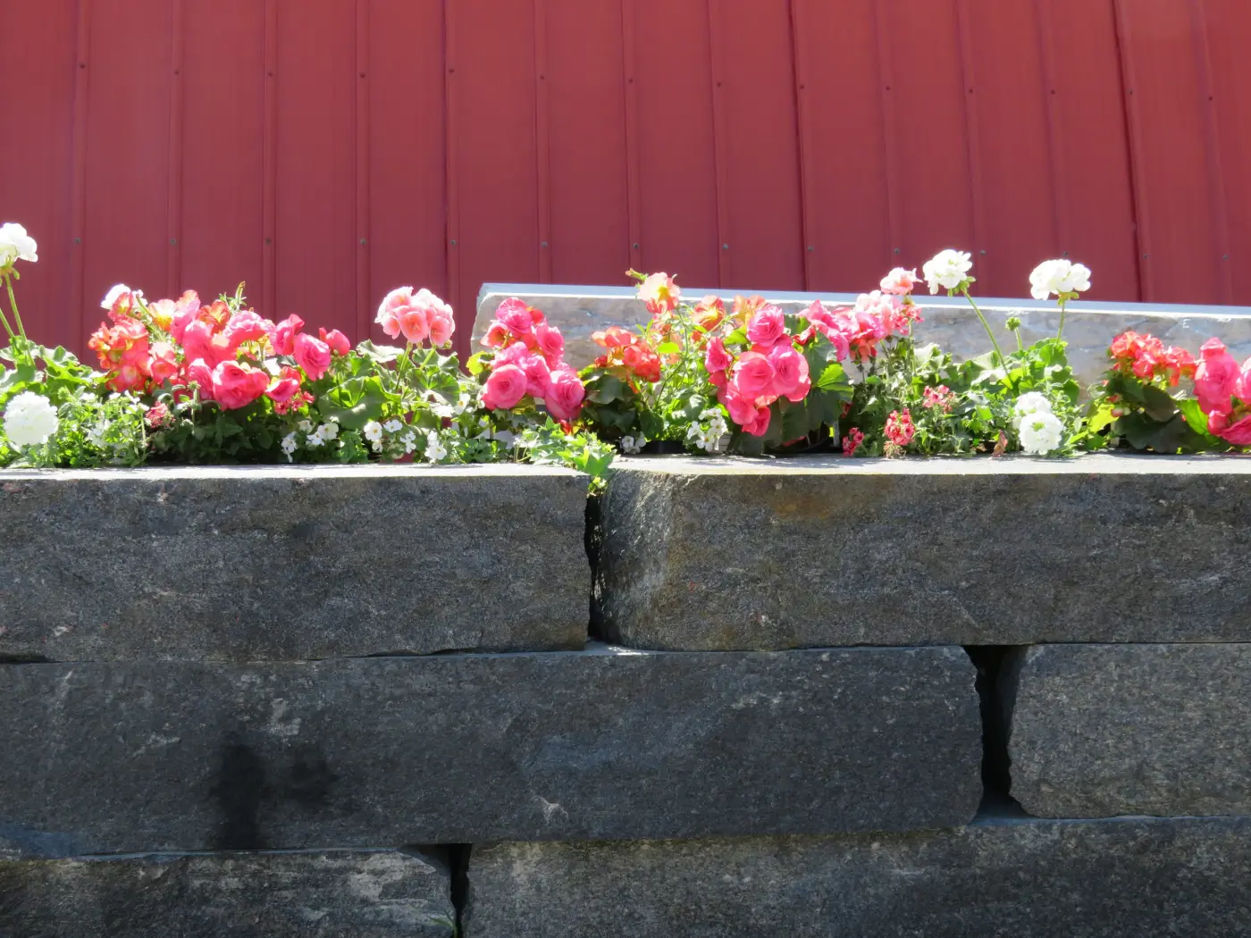 Stone retaining wall planted with flowers